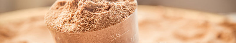 What is the Best Protein Powder for Muscle Gain?