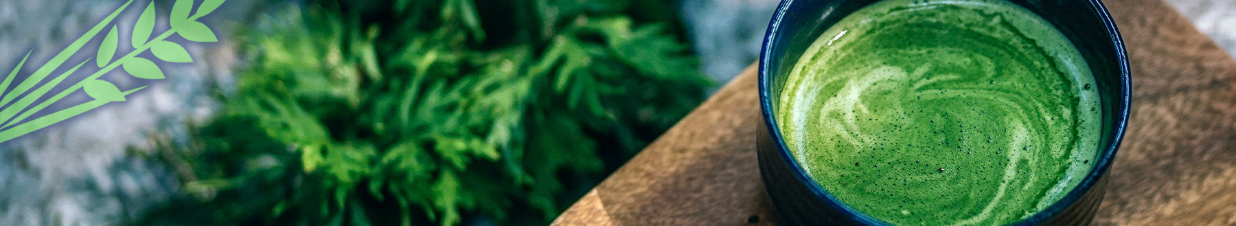 Matcha Health Benefits