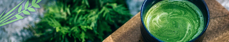 Matcha Health Benefits