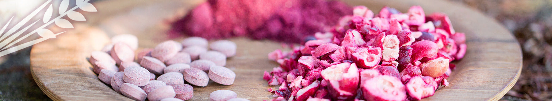 Organic Whole Food Vitamins Blog NSO