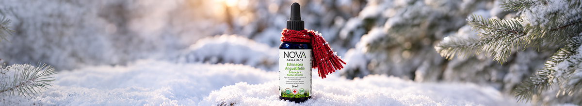 Give your immune system support rooted in nature this cold season