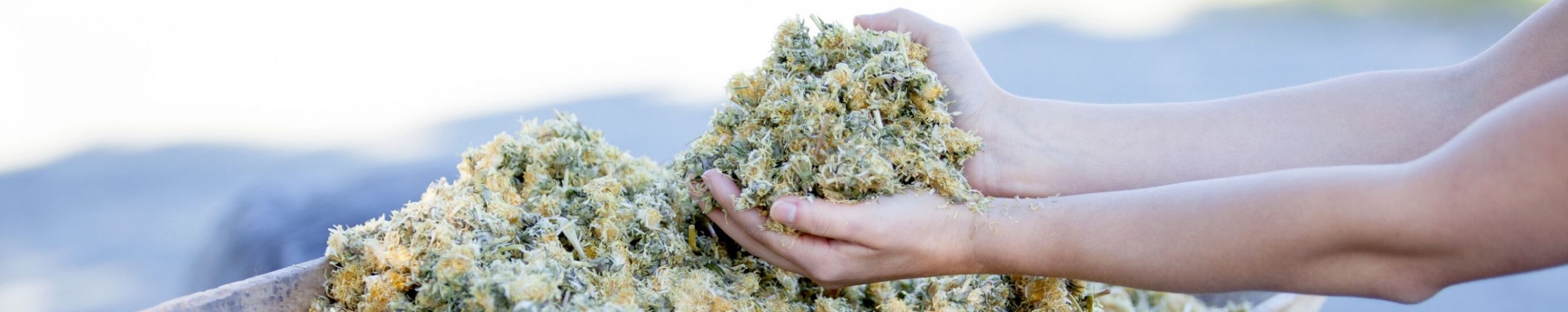 organic vitamins and minerals