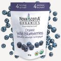 Organic, Freeze Dried Blueberries image 0