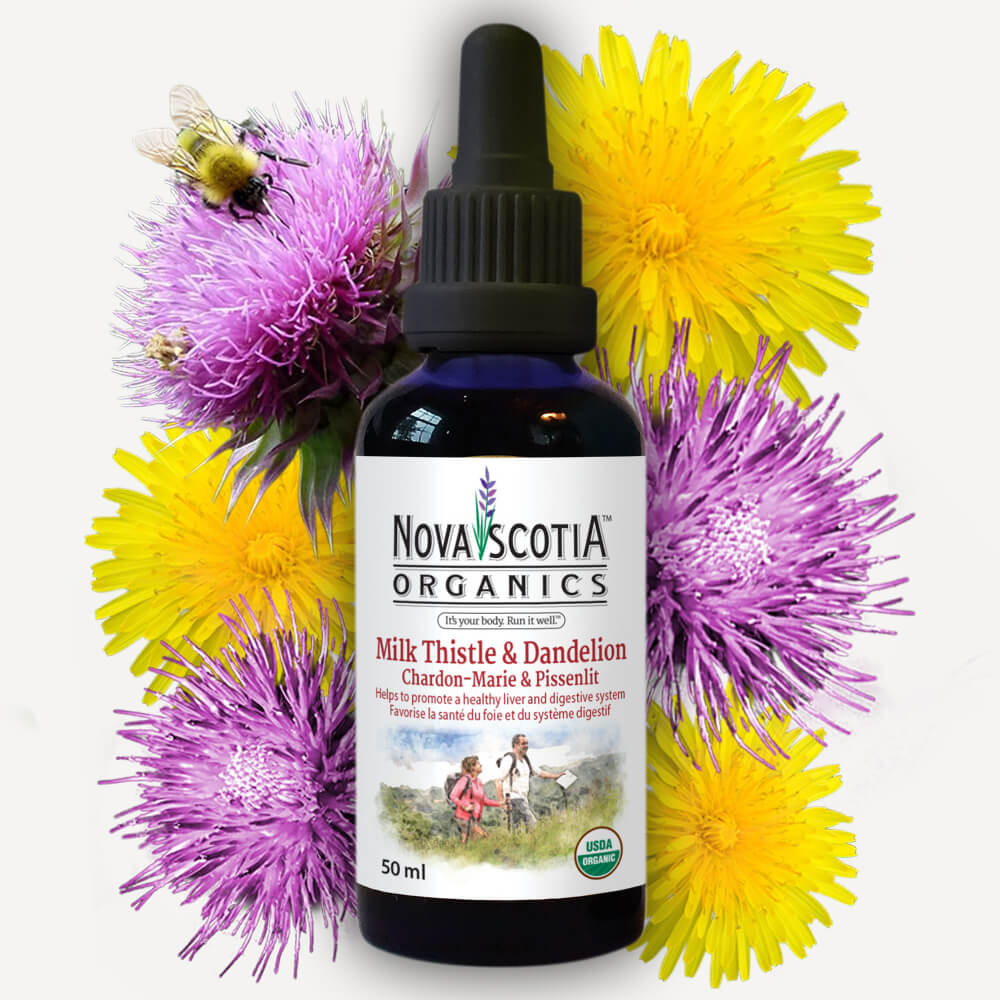 Milk Thistle Dandelion Tincture image 0