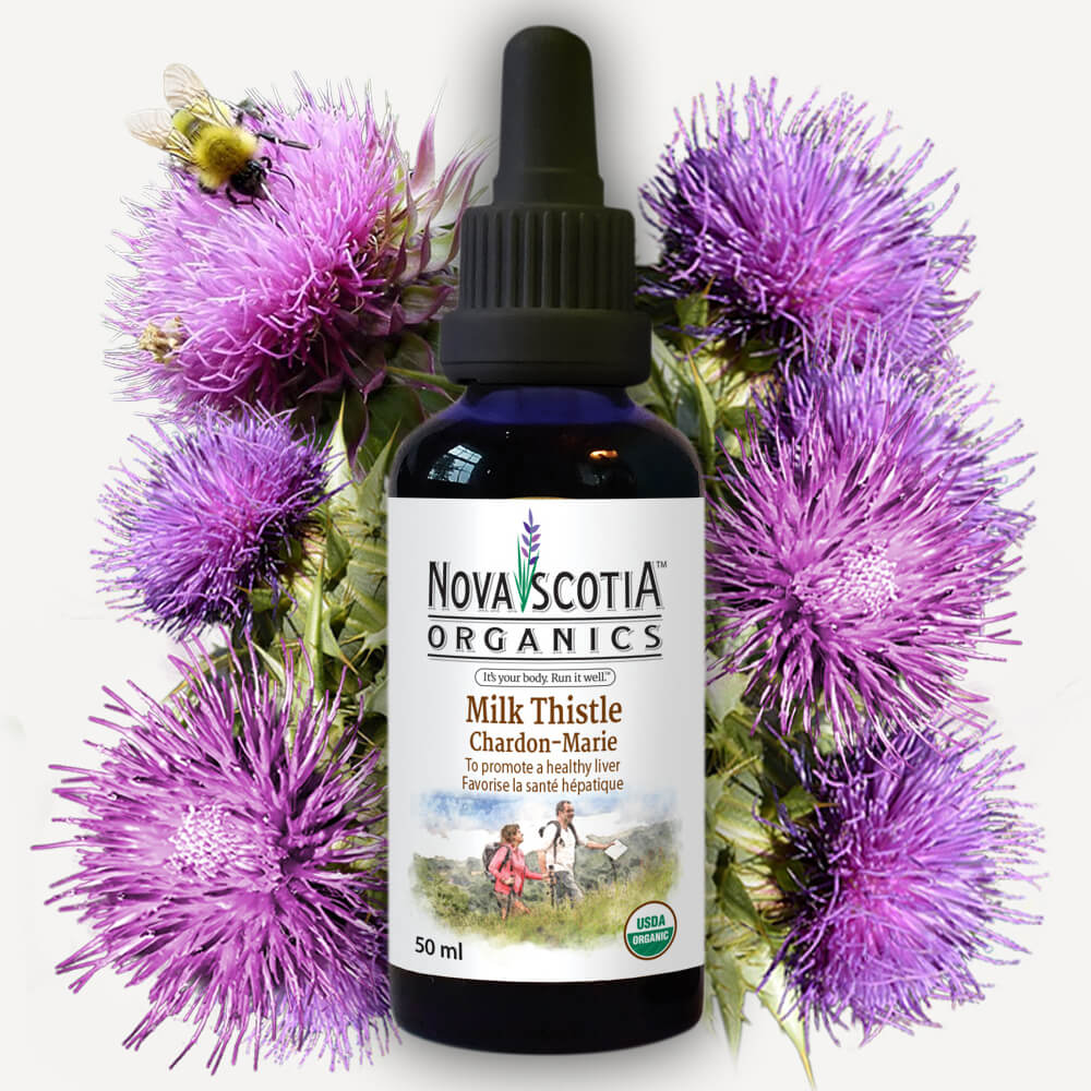 Milk Thistle Tincture image 0