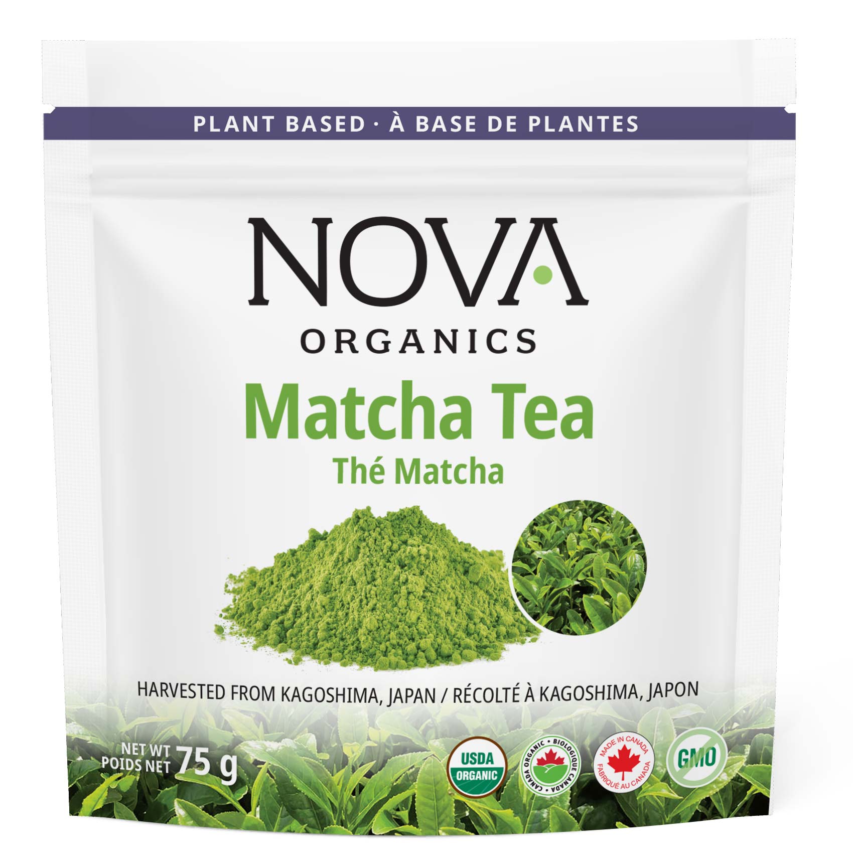 Organic Matcha Tea