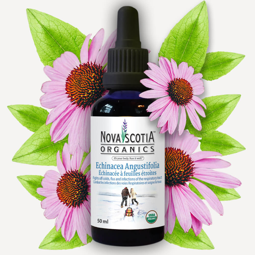 Echinacea Angustifolia Tincture image 0